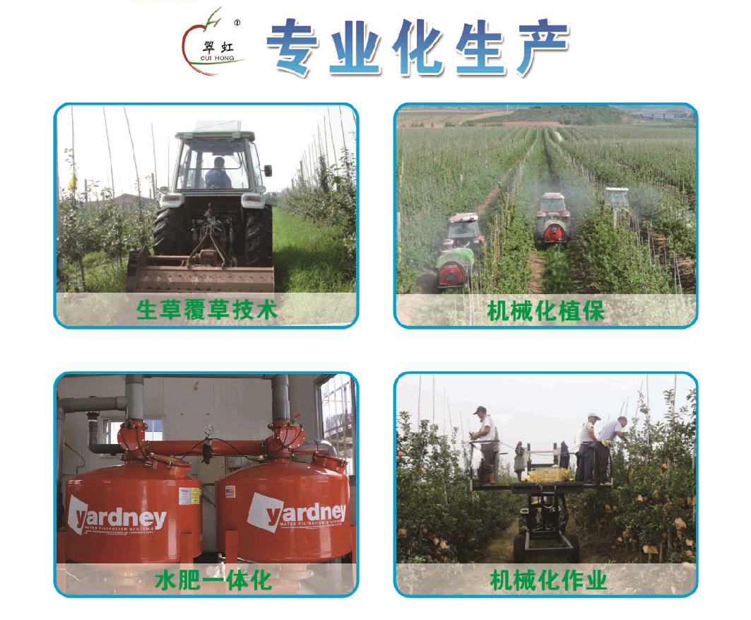 专业化生产(图1) 专业化生产(图1)